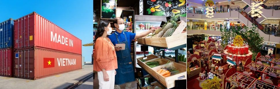 Thương mại Việt Nam phát triển như thế nào?