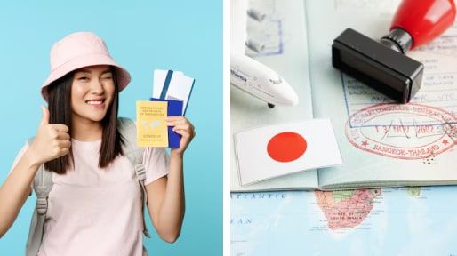 Số lượng người Việt Nam tại Nhật Bản chia theo các loại Visa
